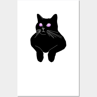 Kitty 2 Posters and Art